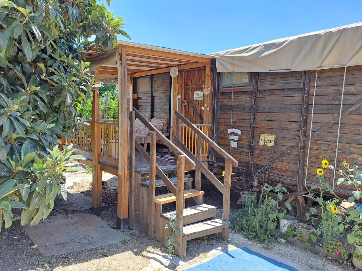 Galilee Bedouin Camplodge Tabash Buitenkant foto
