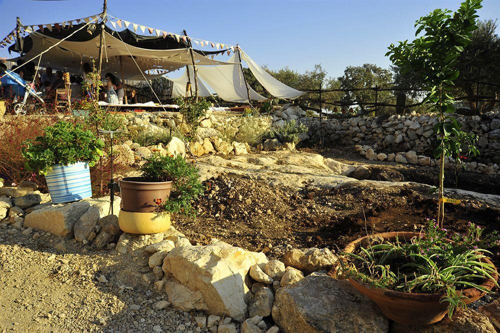 Galilee Bedouin Camplodge Tabash Buitenkant foto
