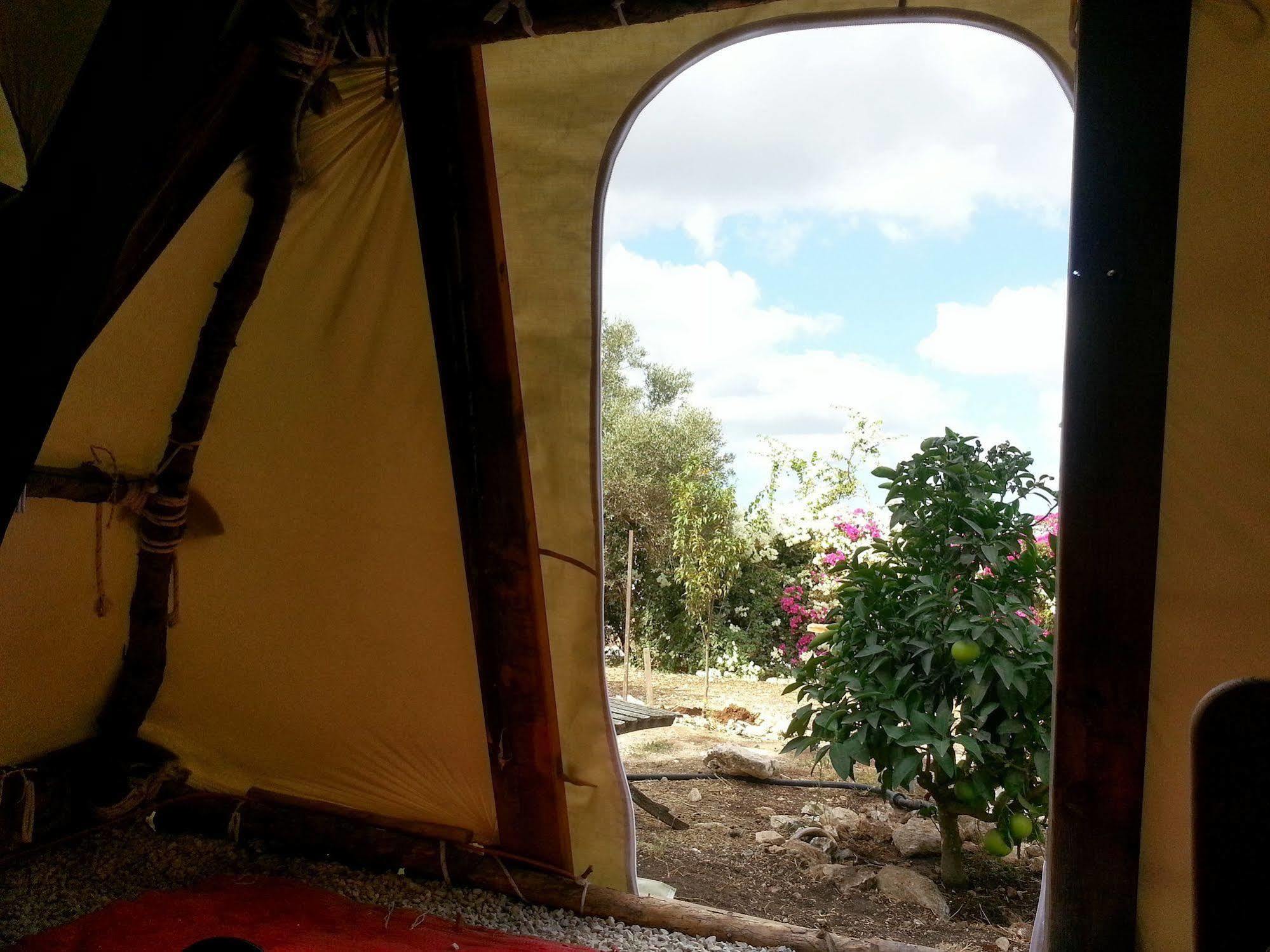 Galilee Bedouin Camplodge Tabash Buitenkant foto